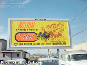 Action Arizona Style