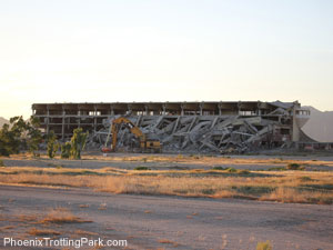 Demolishing the Trotting Park
