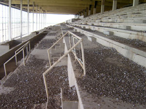 Interior bird droppings