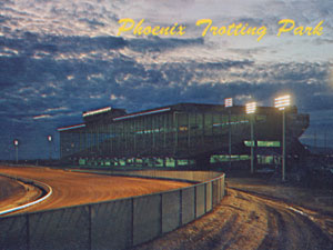 Trotting Park Postcard